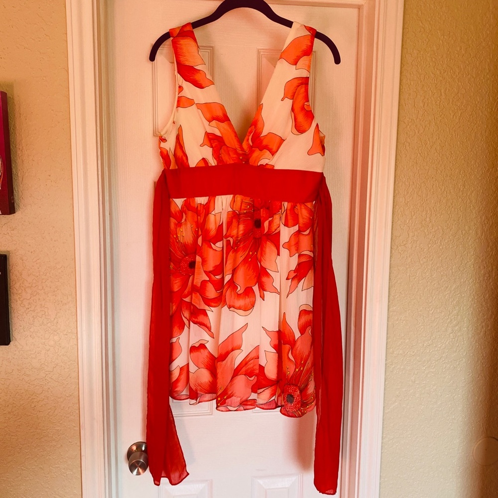 Forever 21 Poppy Dress